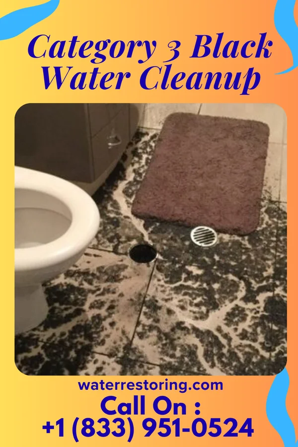 Category 3 Black Water Cleanup in Circle, MT