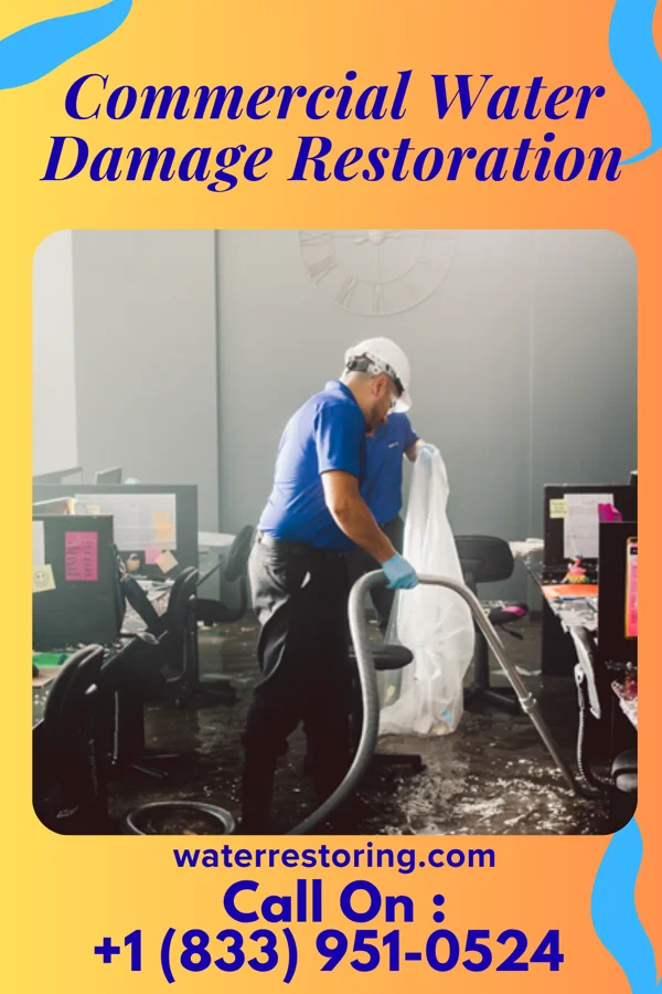 Commercial Water Damage Restoration in Circle, MT
